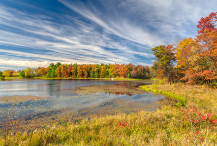 autumn lake and forest in the midwest