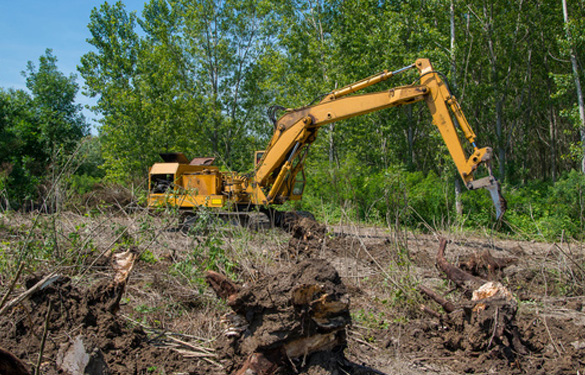 forestry equipment clearing trees