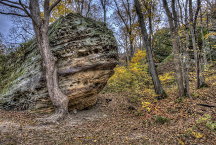 Illinois Forest with ship rock